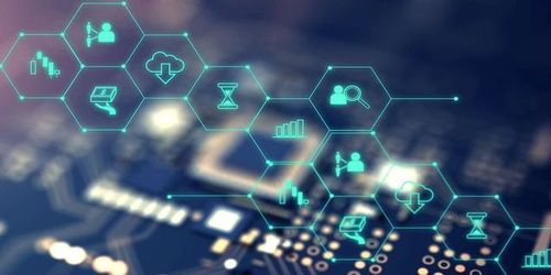 新致软件 毛利率与研发费率不及同行，高负债与财务费用侵蚀盈利，软件研发与推广面临挑战