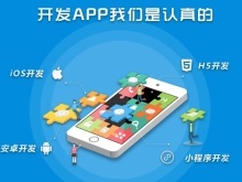 玉树小程序开发公司 专业软件研发与高效推广服务