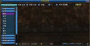 畅游首款3D MMORPG大作 从研发到推广的全方位探索